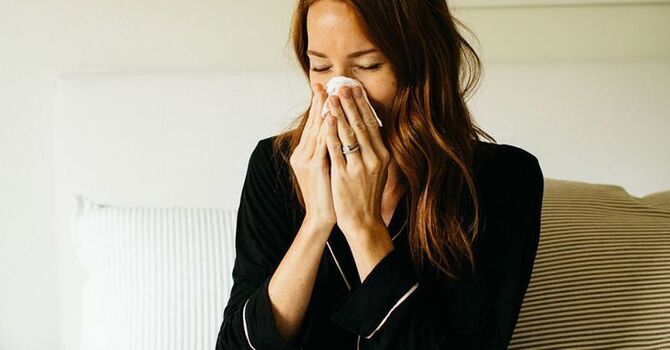 How to Boost Your Immune System Naturally This Winter image